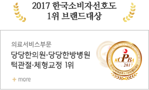 2017 한국소비자선호도 1위 브랜드대상